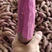 红薯-西瓜红-龙九-紫薯-应有尽有-量大从优-优质电商