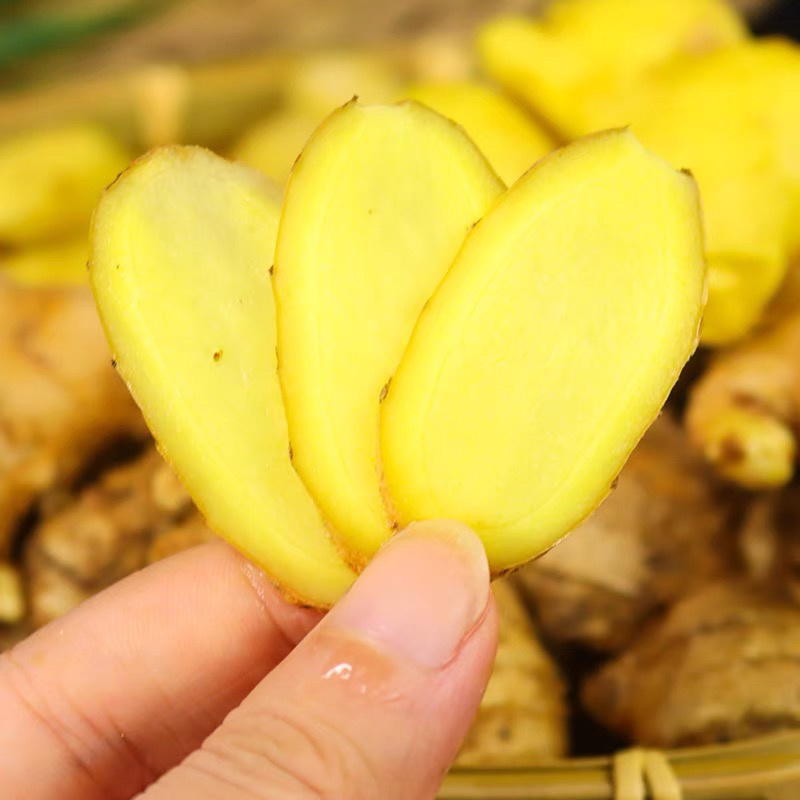 云南新鲜生姜小黄姜5斤精选鲜嫩新鲜姜蔬菜一件代发