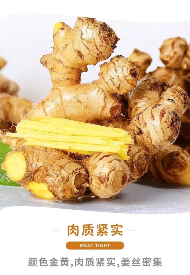 云南新鲜生姜小黄姜5斤精选鲜嫩新鲜姜蔬菜一件代发
