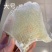 【精选】北海浦鱼翅大量供应一手货源品质保证量大从优