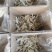 【自家晒场批发】目鲢鱼[中]去头去皮鱼干淡晒电联采购