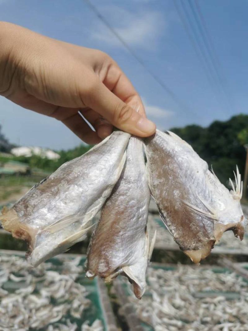 【牛商优选】广西北海精品黄鱼干规格齐全口感香脆精选
