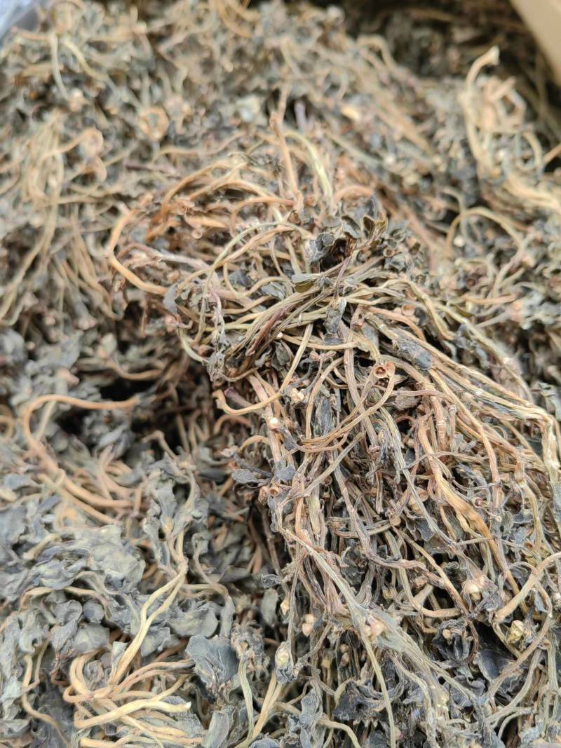 马齿苋土特产蚂蚱菜新货无硫自然晾晒