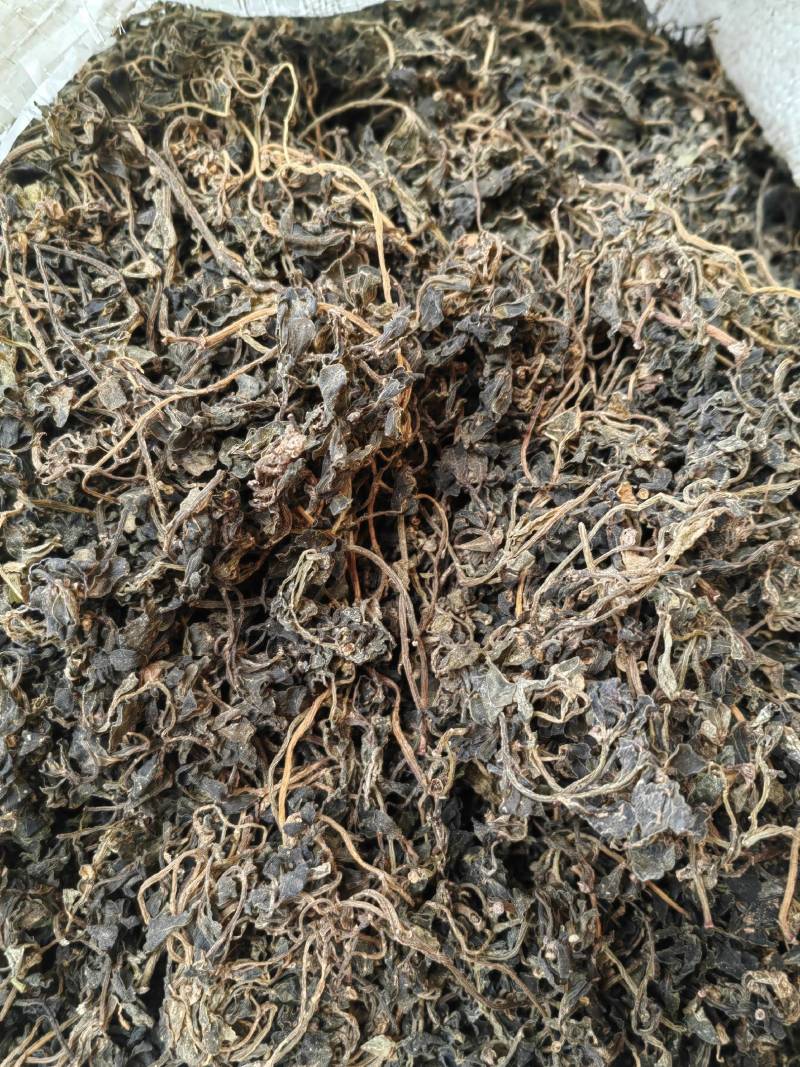 马齿苋土特产蚂蚱菜新货无硫自然晾晒
