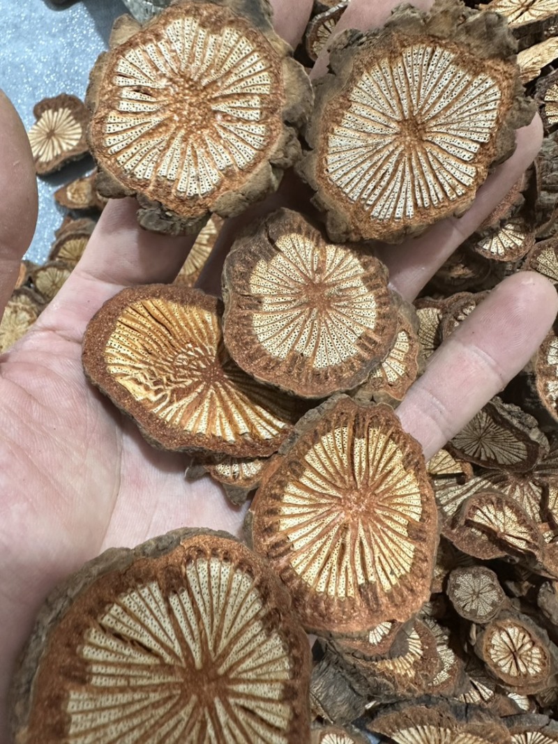 大红藤血通藤五花血藤