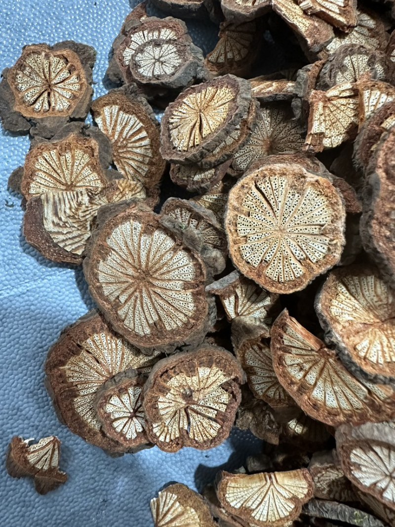 大红藤血通藤五花血藤