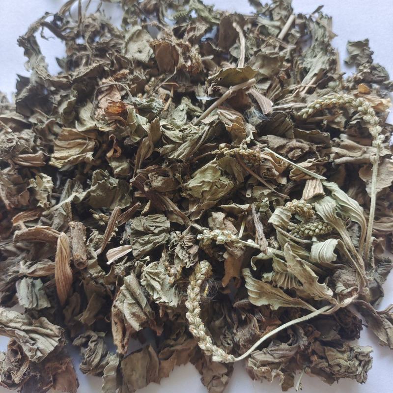 车前草车前草产地山东省今年新货地道药材紫轩堂药业