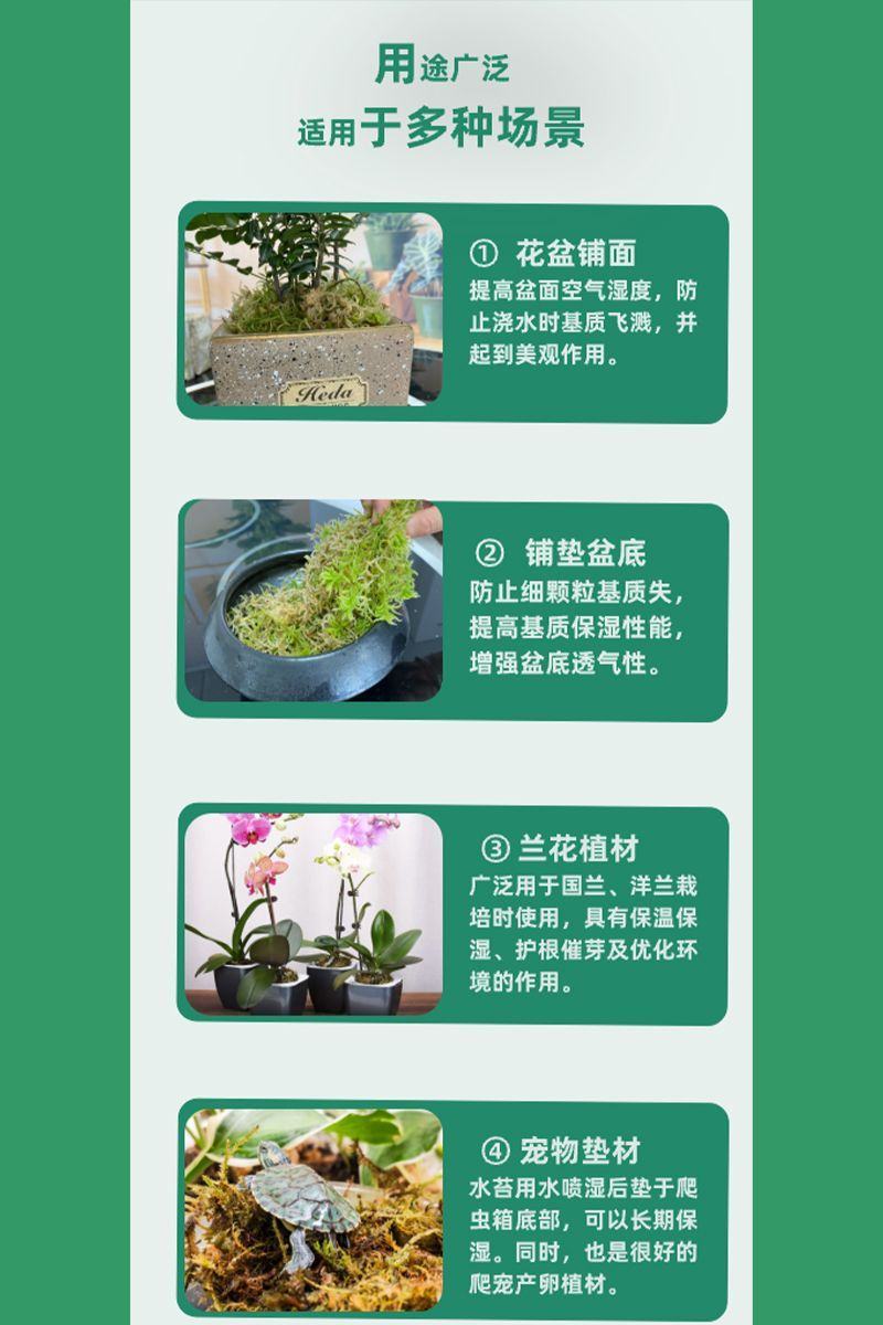 水苔