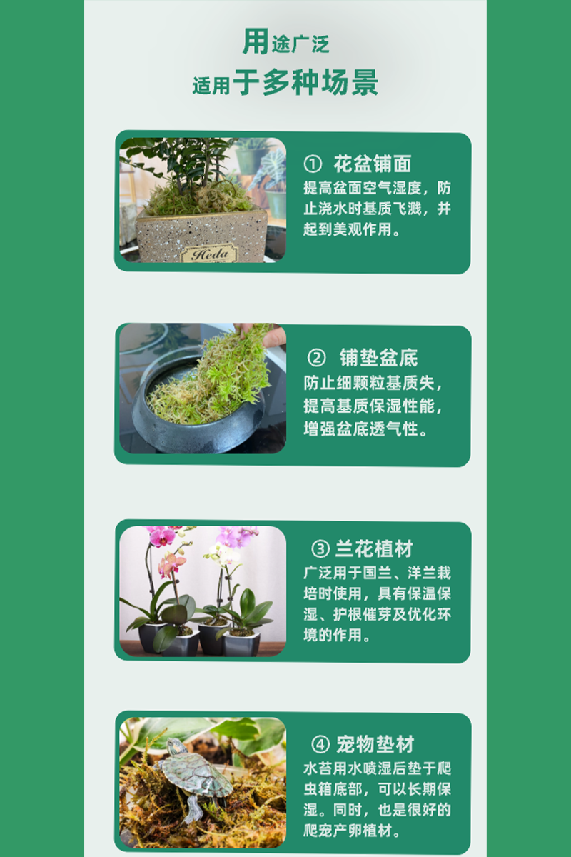 水苔