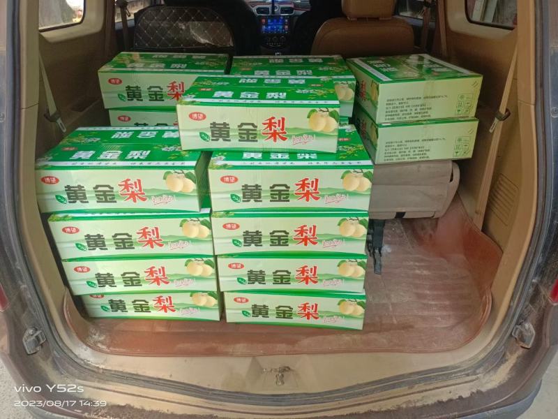 博望坡黄金梨