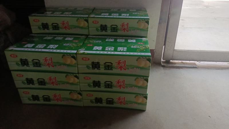 博望坡黄金梨