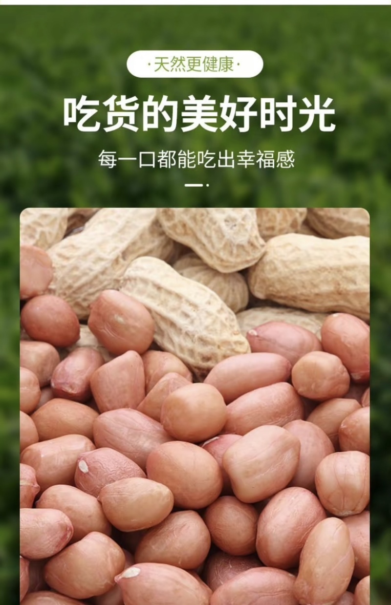 河南鲁花八干