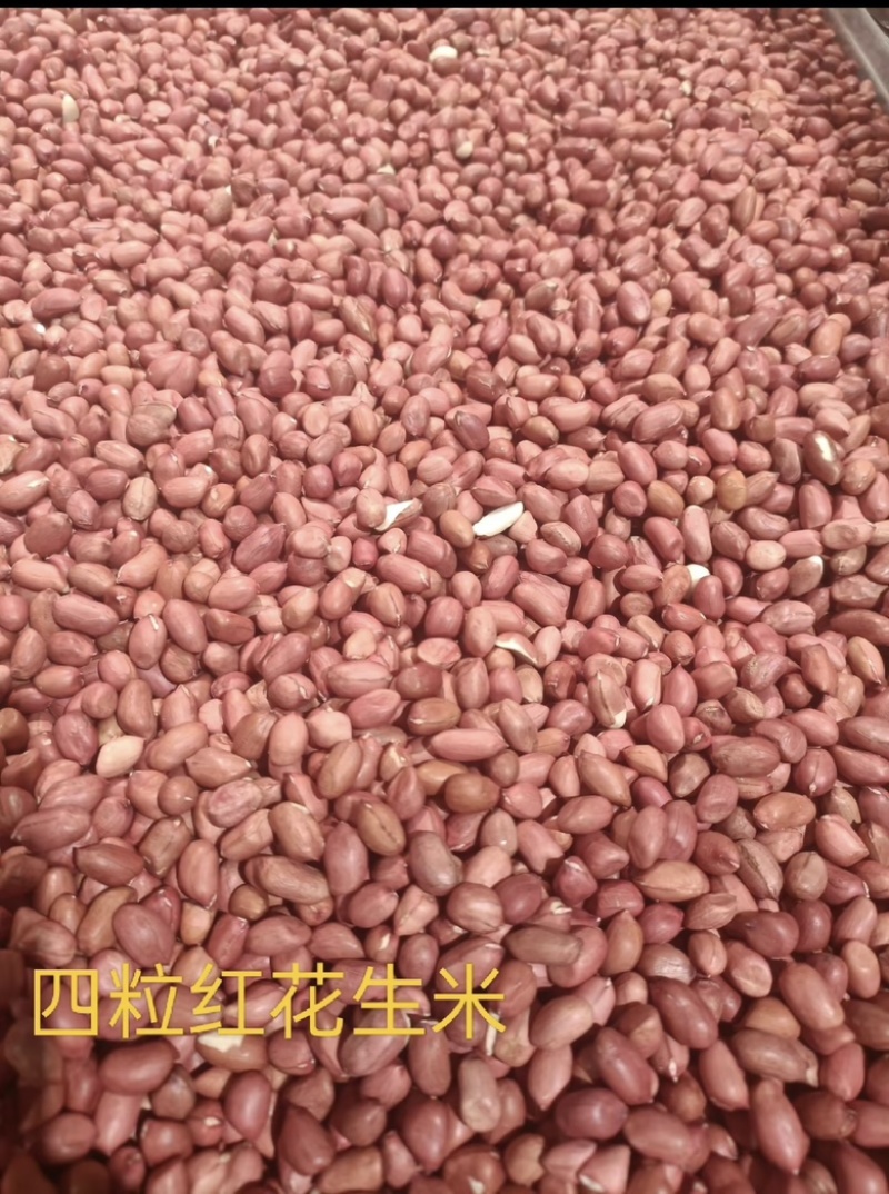 河南鲁花八干