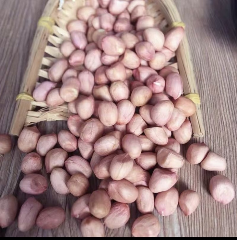 河南鲁花八干