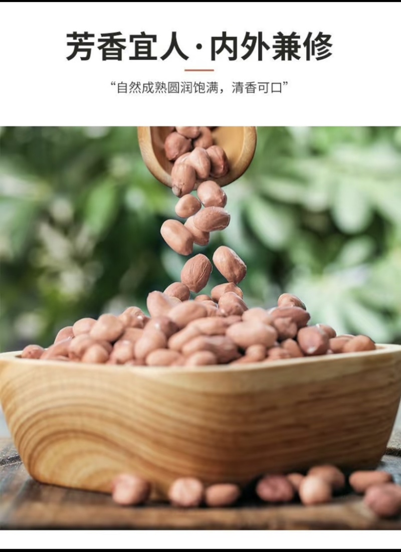 河南鲁花八干