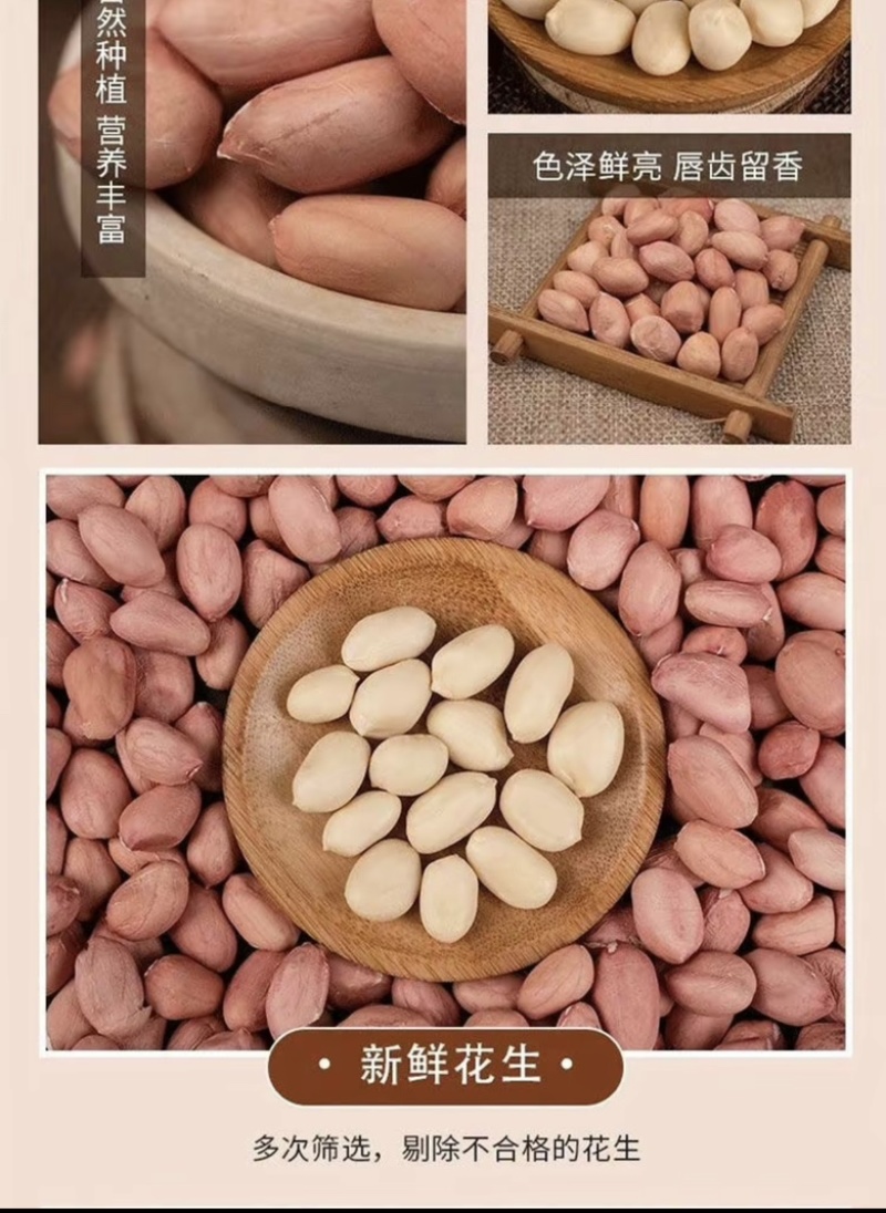 河南鲁花八干
