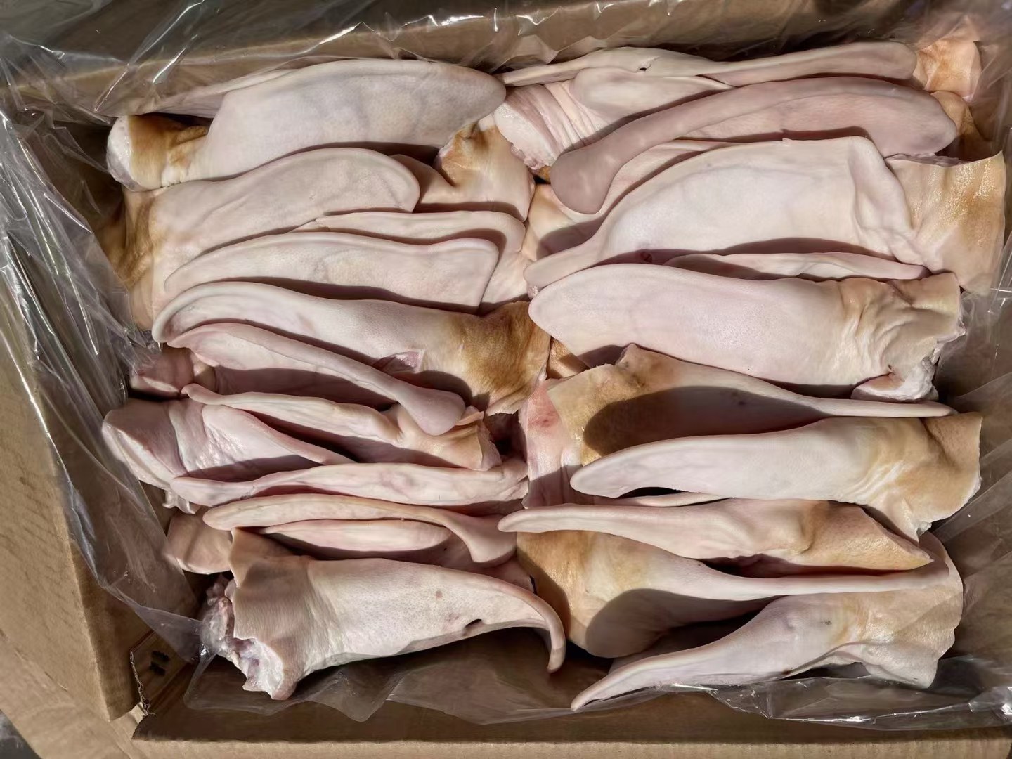 洋葱与猪耳朵营养成分对比图