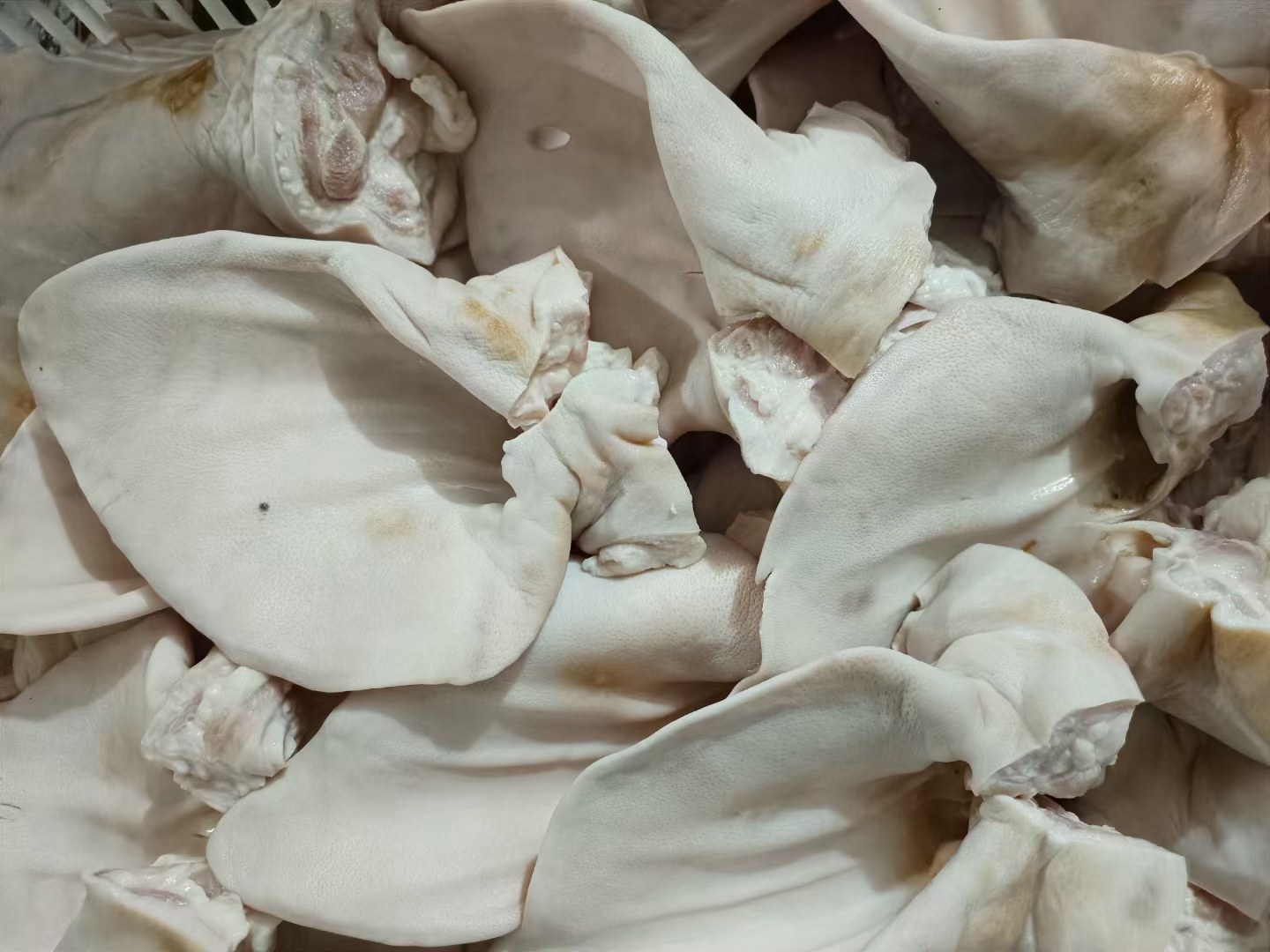 香芹猪耳朵作为凉拌菜摆盘图