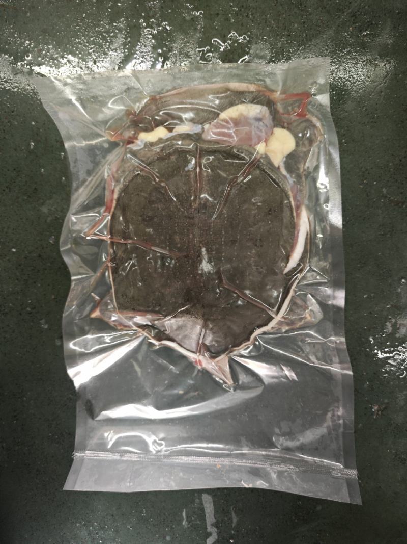 冰鲜开肚甲鱼.长期供货，规格齐全，量大从优