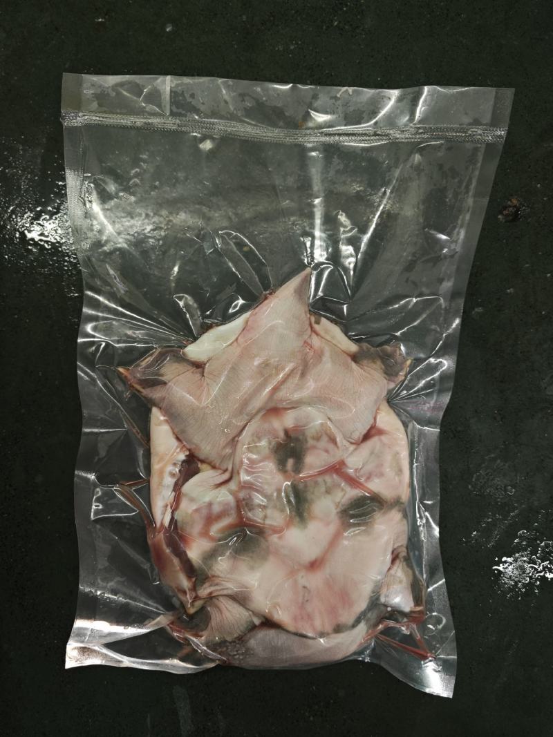冰鲜开肚甲鱼.长期供货，规格齐全，量大从优