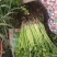 【芹菜】山东山芹大量上市产地对接全国市场电商商超