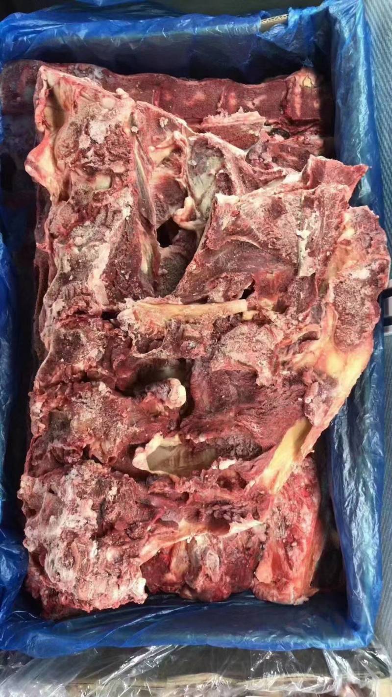 白菜价的牛骨头，新鲜肉大，不带胯骨！适合各种骨头馆，自助