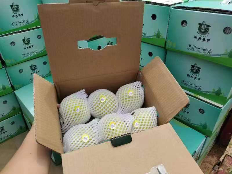 【精选】梨，雪花梨泸西高原梨基地直发口感脆甜