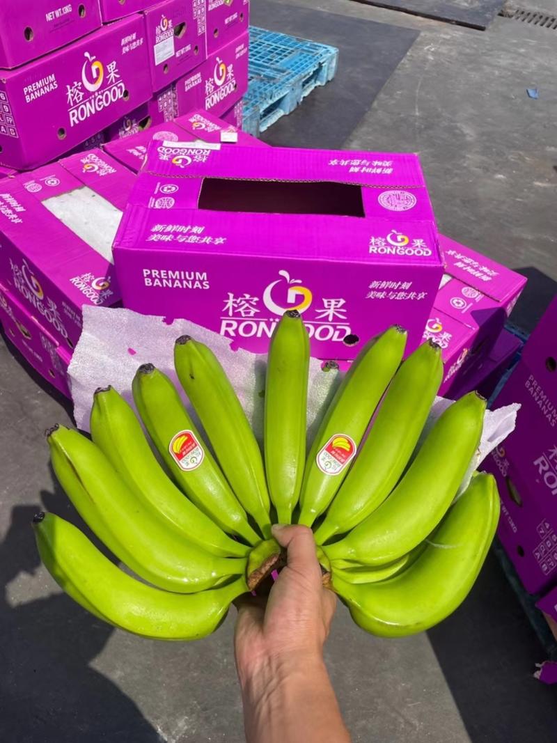 主要经营：特价菲律宾精品二黄蕉，净重27斤，保质保量。