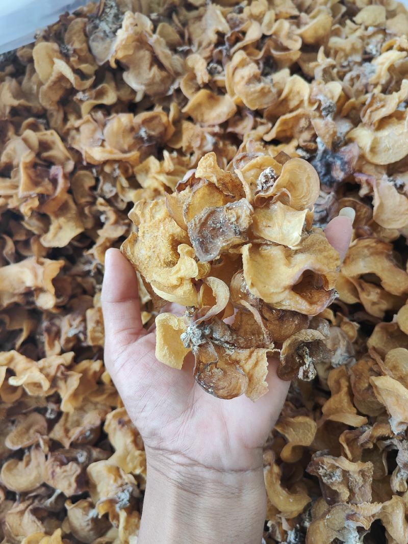 云南普洱脆木耳也叫黄木耳_自然晒干_泡发好