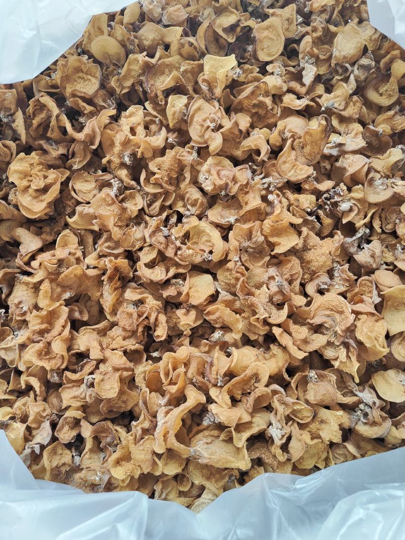 云南普洱脆木耳也叫黄木耳_自然晒干_泡发好