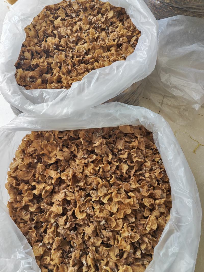 云南普洱脆木耳也叫黄木耳_自然晒干_泡发好