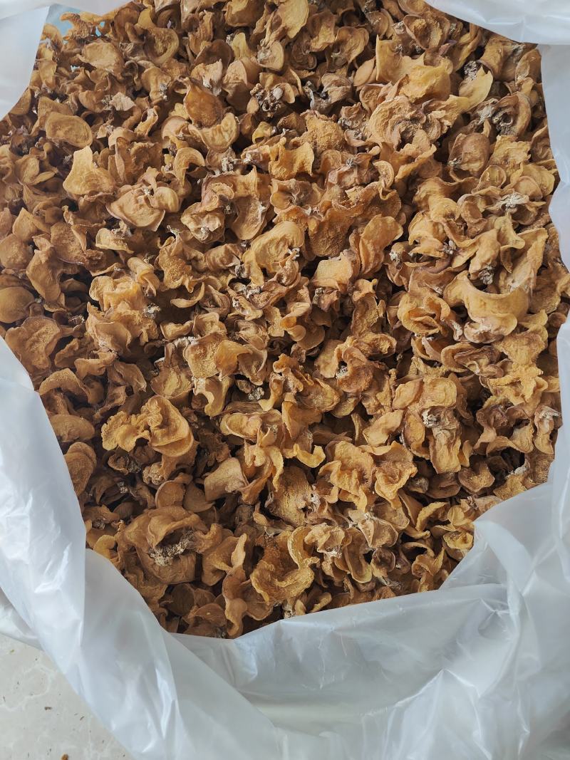 云南普洱脆木耳也叫黄木耳_自然晒干_泡发好