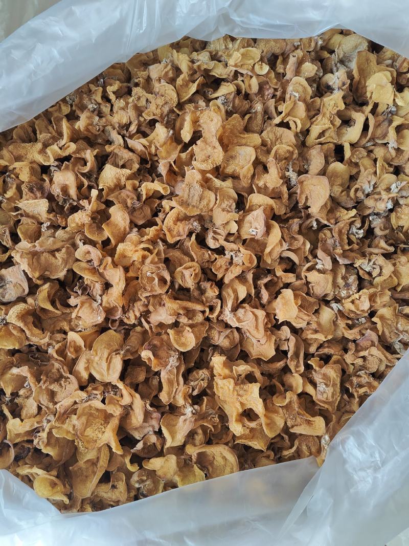 云南普洱脆木耳也叫黄木耳_自然晒干_泡发好
