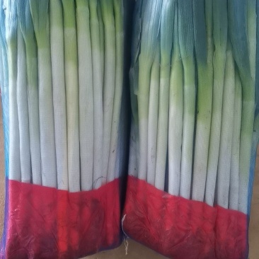 高原精品铁杆钢葱大量有货，量大从优，品质好，葱干长，叶面
