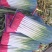 高原精品铁杆钢葱大量有货，量大从优，品质好，葱干长，叶面