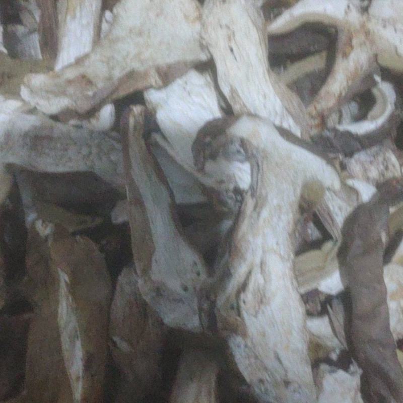 牛肝菌烤片