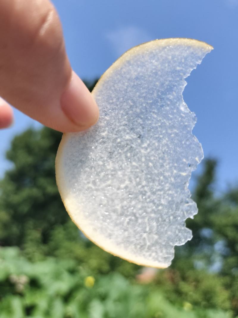 冷库库存秋月梨全国发货！对接各大市场，商超，欢迎洽谈