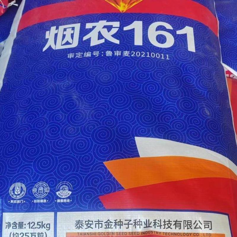 烟农161，是烟农1212和济麦22杂交品种，两大品种强