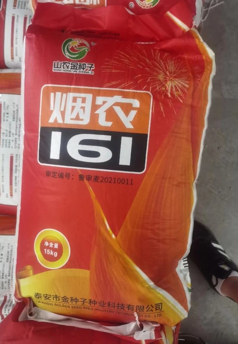 烟农161，是烟农1212和济麦22杂交品种，两大品种强