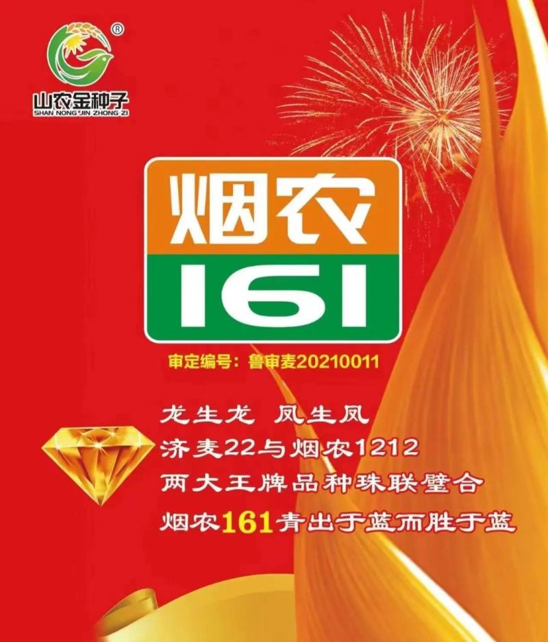 烟农161，是烟农1212和济麦22杂交品种，两大品种强
