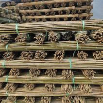 【发货】批发菜架竹旗杆植树杆大棚竹杆一手货源质量好！