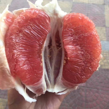 柚子
