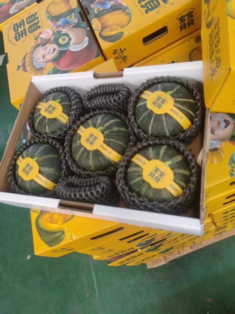 【产地直销】贝贝南瓜产地直发库房看货全部机洗标准化