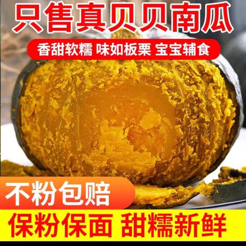 【产地直销】贝贝南瓜产地直发库房看货全部机洗标准化