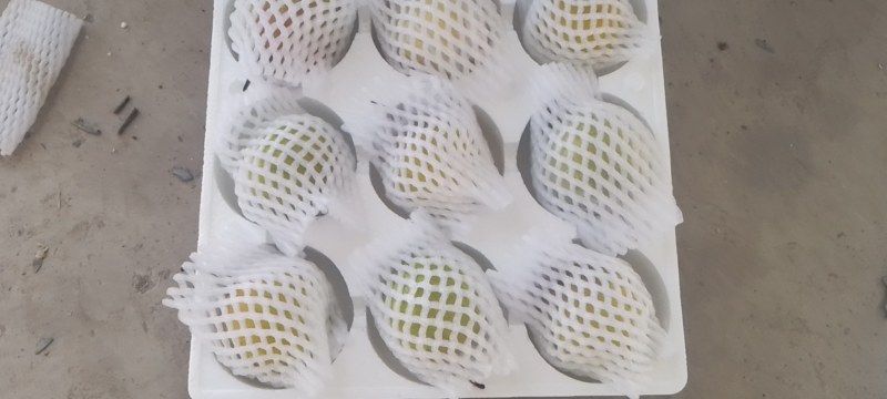 山西玉露香梨种植基地供应全国超市，礼品水果店