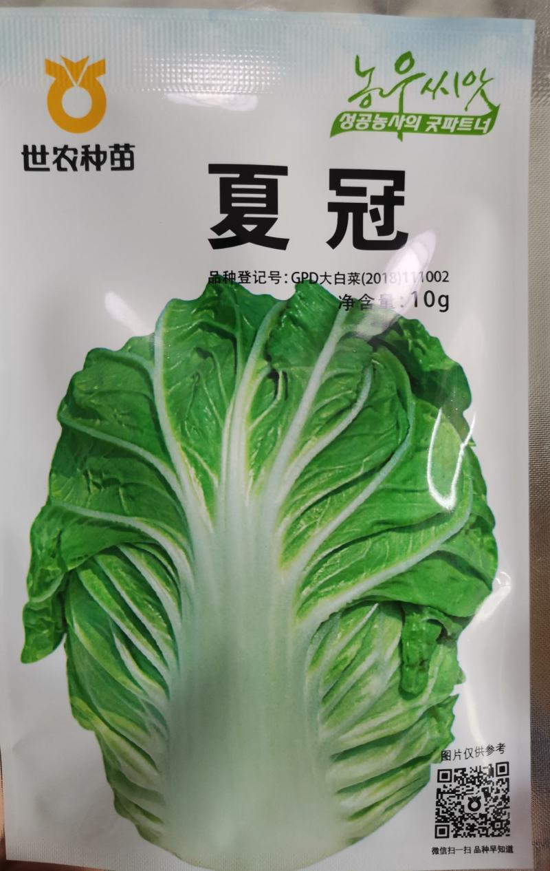 正品基地夏季专播夏冠结球大白菜种子耐热耐湿绿白菜种籽蔬菜