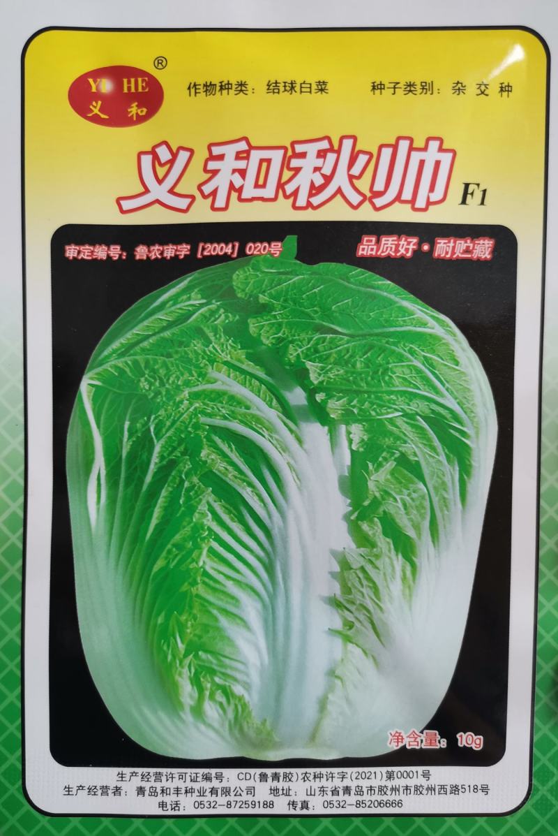 义和秋大白菜种子小义和秋白菜种籽正宗白菜高产大白菜种子