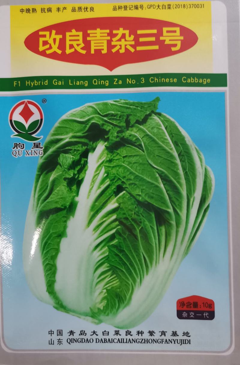 基地高端改良青杂三号大白菜种子耐寒秋冬储黄心庭院白菜蔬菜