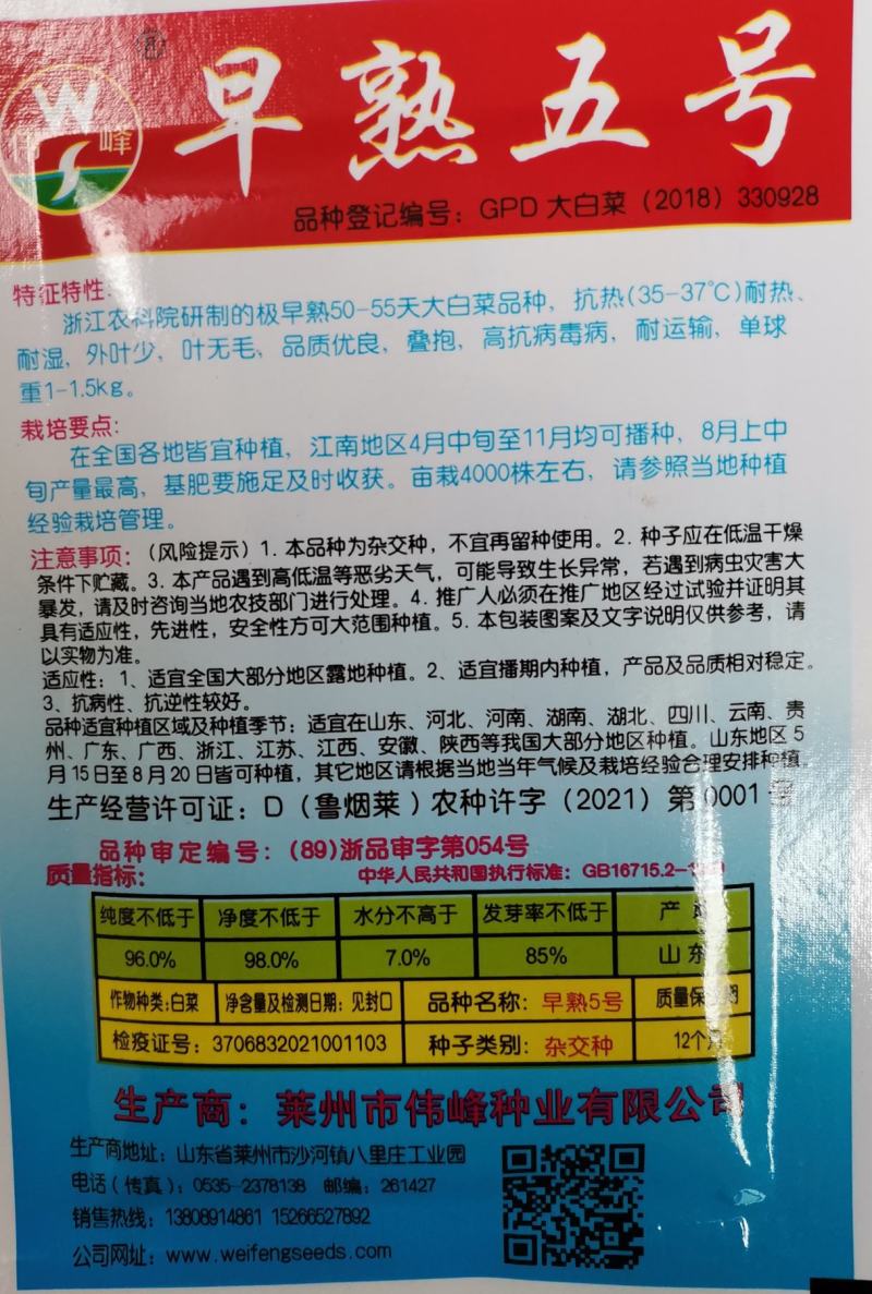 基地高端改良青杂三号大白菜种子耐寒秋冬储黄心庭院白菜蔬菜