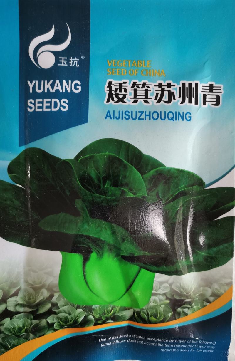 黑叶矮脚苏州青种子蔬菜种子大全秋冬抗热耐寒